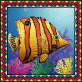 Bonus Fish