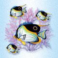 Fish School