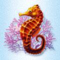 Sea Horse