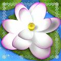 White Lotus
