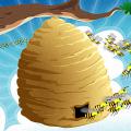 Hive