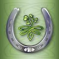 Horseshoe