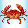 Crab