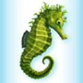 Sea Horse