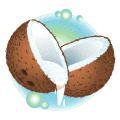 Coconuts