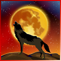Coyote