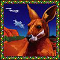 Kangaroo