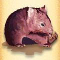 Wombat