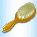 Brush