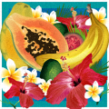 Fruit