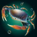 Crab