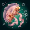 Jellyfish