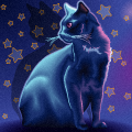 BlackCat