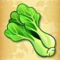 Buk Choy