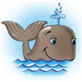Whale