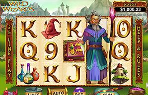 Play Wild Wizards